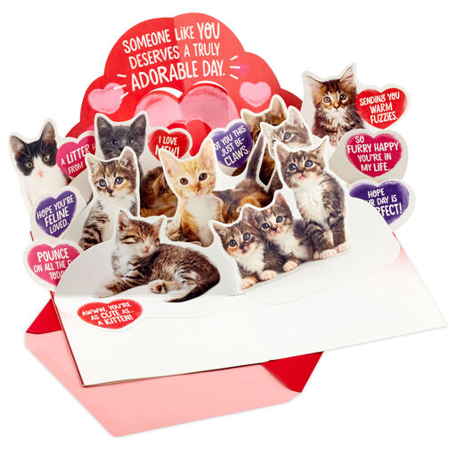 Truly Adorable Cats Funny Pop-Up Valentine's Day Card, 