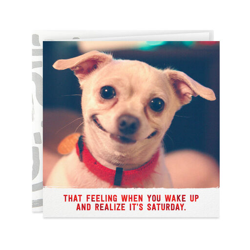 Smiling Dog Feeling Like It's Saturday Birthday Card, 