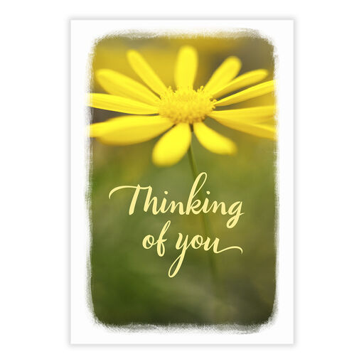 Have a Good Day Thinking of You eCard, 